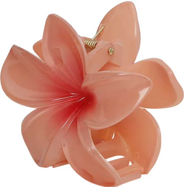 Plumeria Bisou Big - Peach