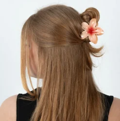 Plumeria Bisou Big - Peach