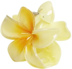 Plumeria Bisou Big - Yellow