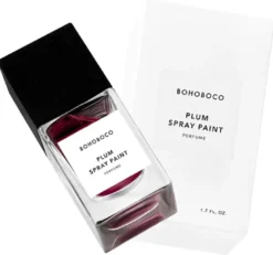 PLUM SPRAY PAINT