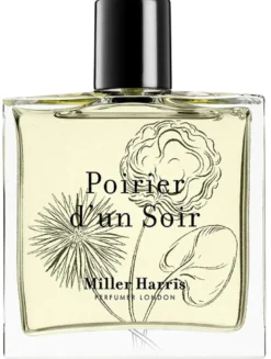 Poirier D'un Soir