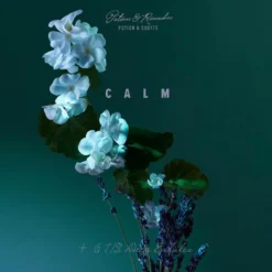 Potions A Balm of Calm