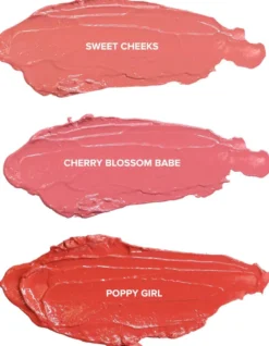 PRETTY BLUSH KIT