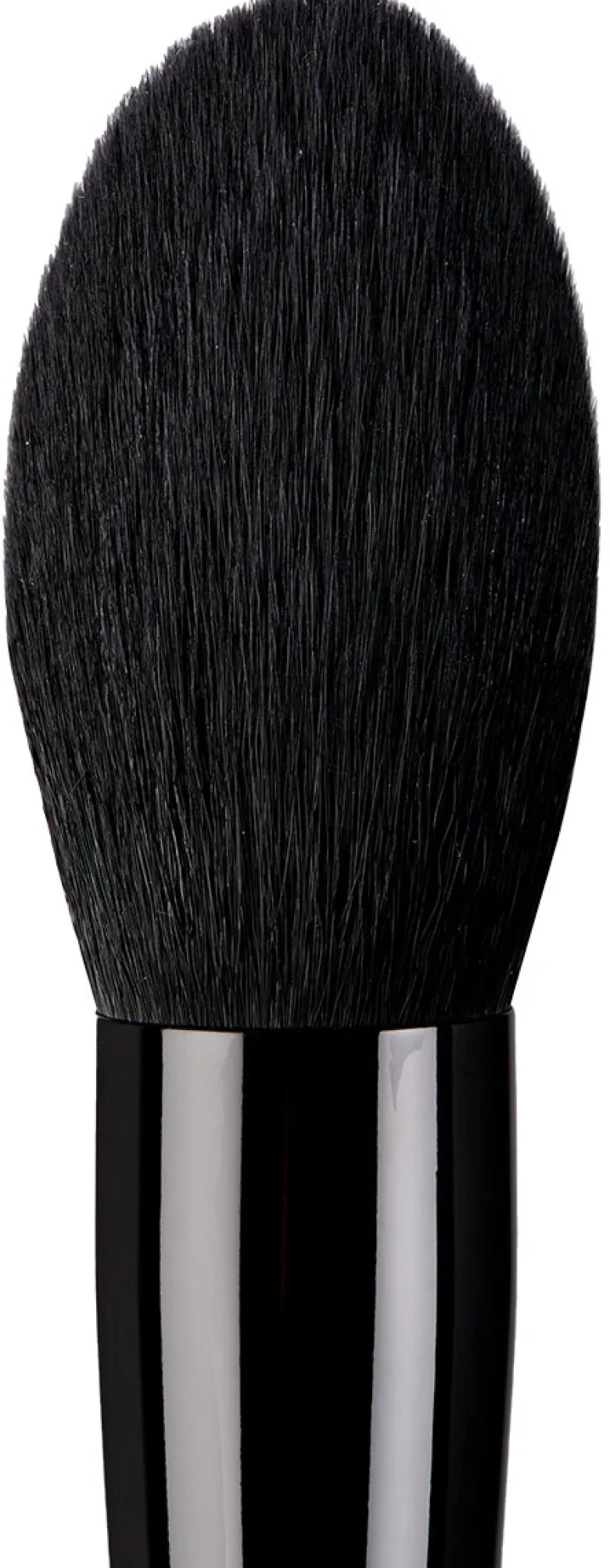 #22 Pro Powder