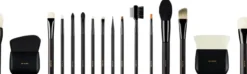 Pro Starter Brush Set ( 16 Piece )