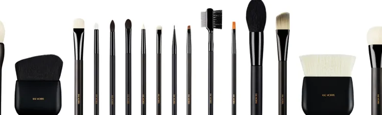 Pro Starter Brush Set ( 16 Piece )