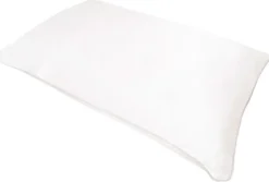 Pure Silk Pillowcase