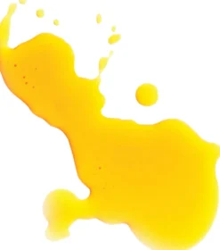 RADIANT RANI Brightening Serum