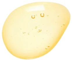 Refill Bodywash Fig tree & Peppermint