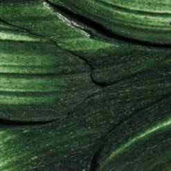 Refining Facial Polisher