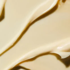 Rejuvenating Night Cream