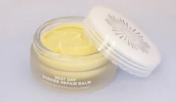 Rest Day Barrier Repair Balm