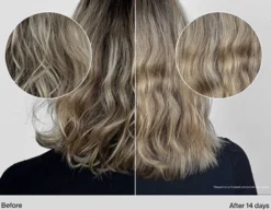 Restore Conditioner