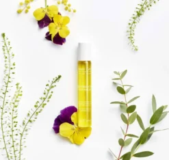 Régénérescence Naturelle