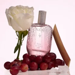 Rose de Vigne