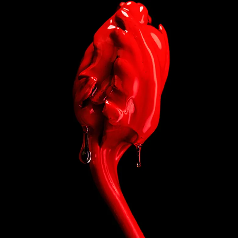 Rose of No Man's Land Absolu