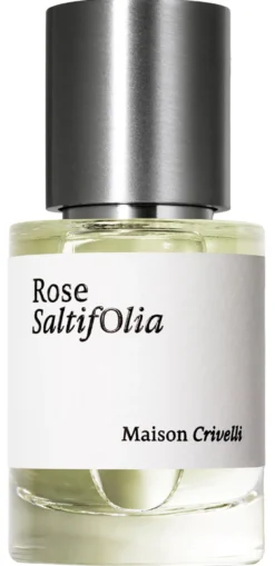 Rose Saltifolia