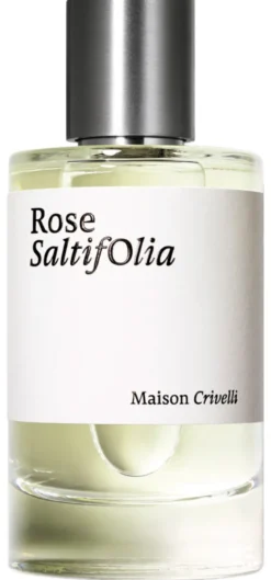 Rose Saltifolia