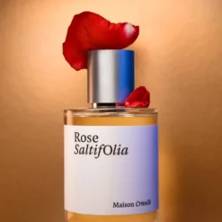 Rose Saltifolia