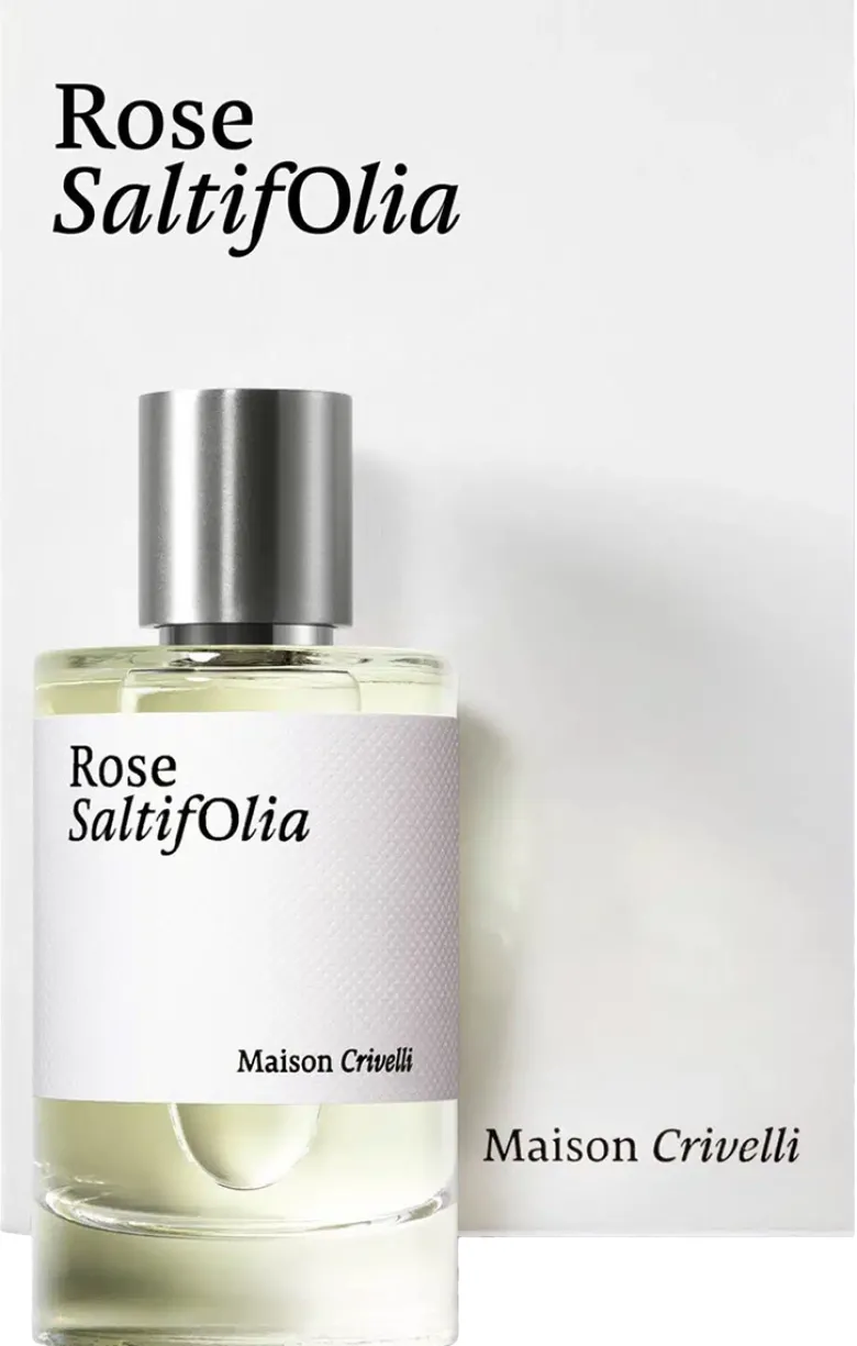 Rose Saltifolia