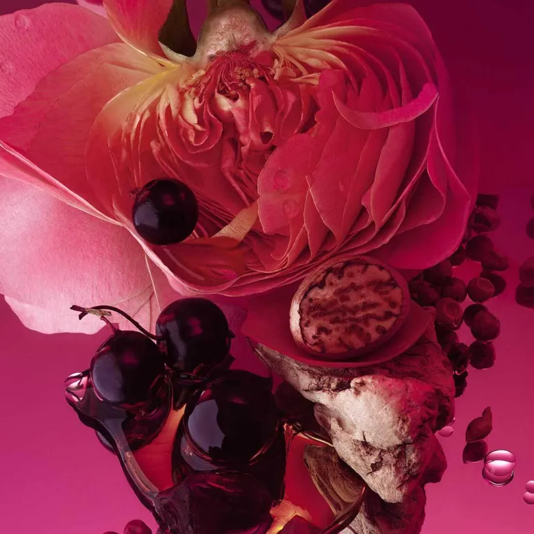 Rose Whip