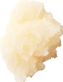 Scalp & Body Scrub