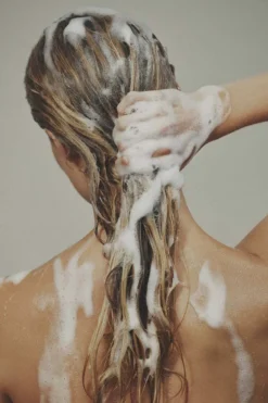Shampoo