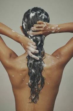 Shampoo
