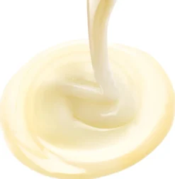 Shampooing Reviviscence