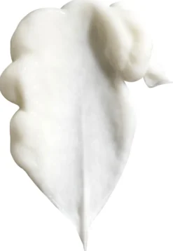 Signature Conditioner