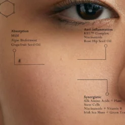 Silk Protein Primer