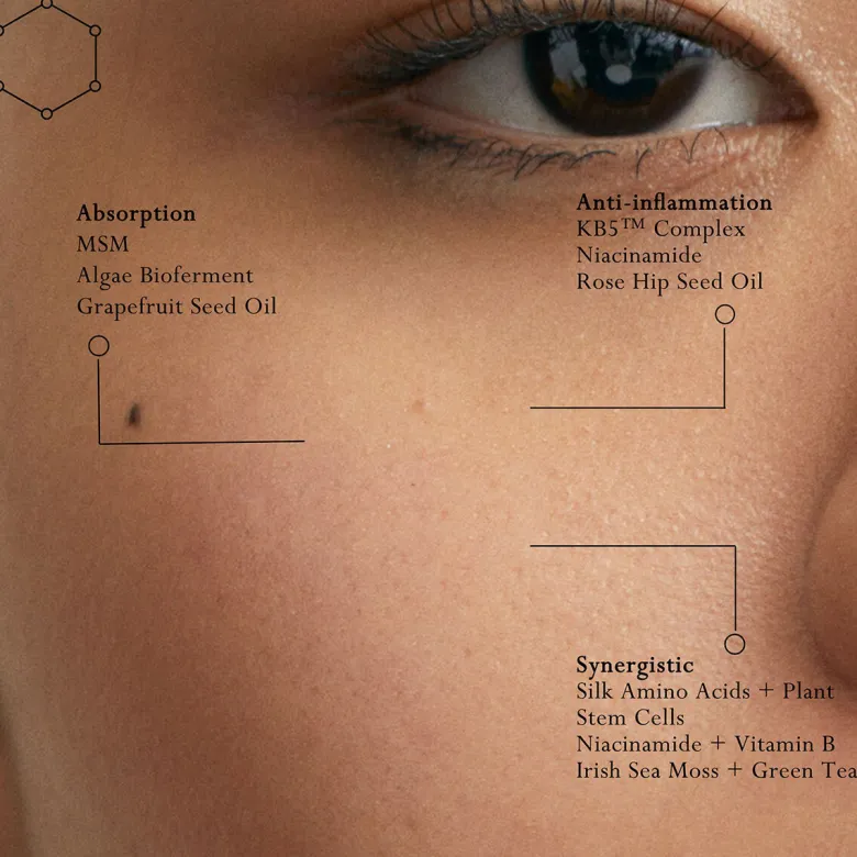 Silk Protein Primer