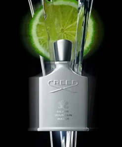 Silver Mountain Water