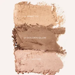 Skin Glow Matte Bronzing Powder 01 Golden Glow