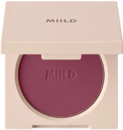 Skin Glow Radiant Powder Flush