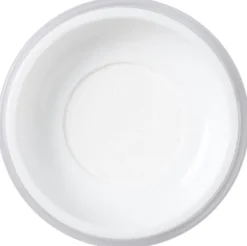 Skin Light Translucent Loose Setting Powder