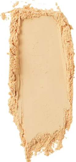 Skin Light Translucent Loose Setting Powder