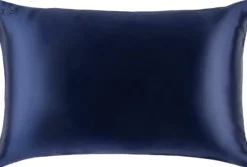 Slip Pure Silk Pillowcase Queen