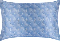 Slip Pure Silk Pillowcase Queen