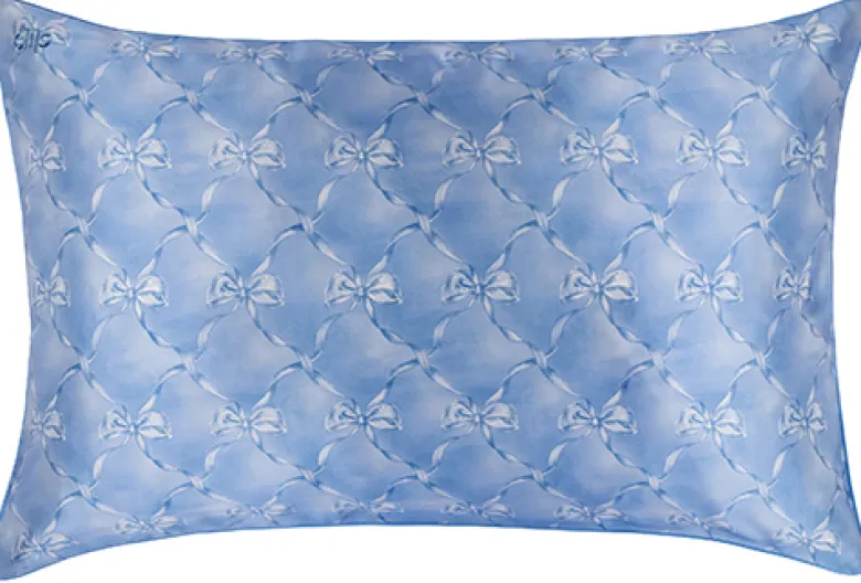 Slip Pure Silk Pillowcase Queen