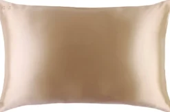 Slip Pure Silk Pillowcase Queen