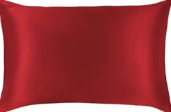 Slip Pure Silk Pillowcase Queen