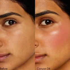 SOLAR TINT Blush Duo