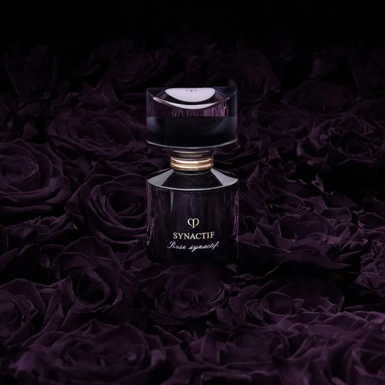 Synactif