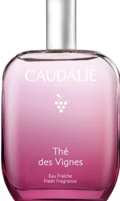 Thé des Vignes