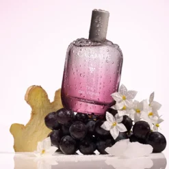 Thé des Vignes