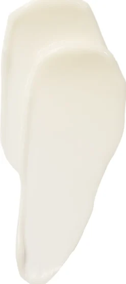 The Absolute Active Replenishing Moisturizer