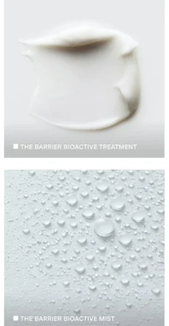 The Barrier Set