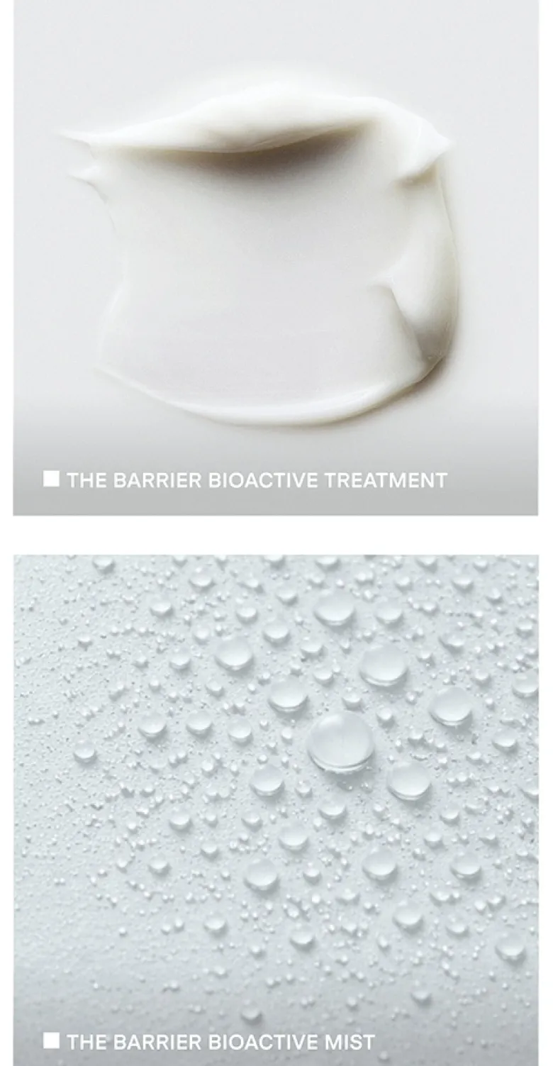 The Barrier Set
