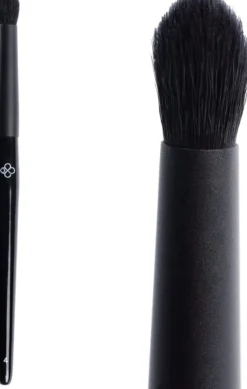 The Brush Edition
